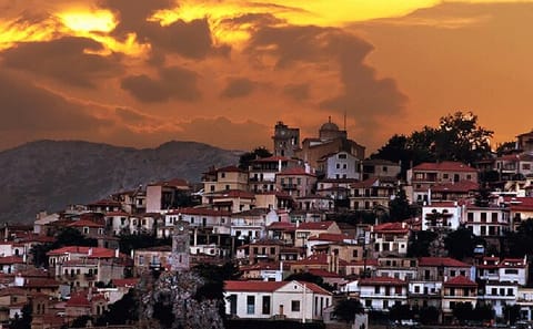 Private Cultural Tour of Delphi and Arachova from Itea Port