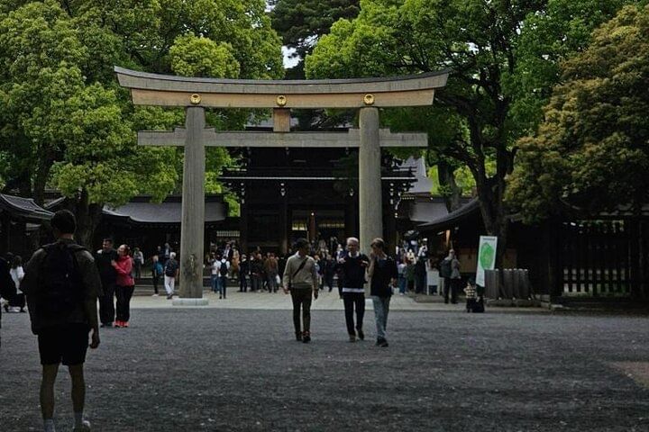 VIP Tokyo City Attractive Tour With English Speaking Driver.