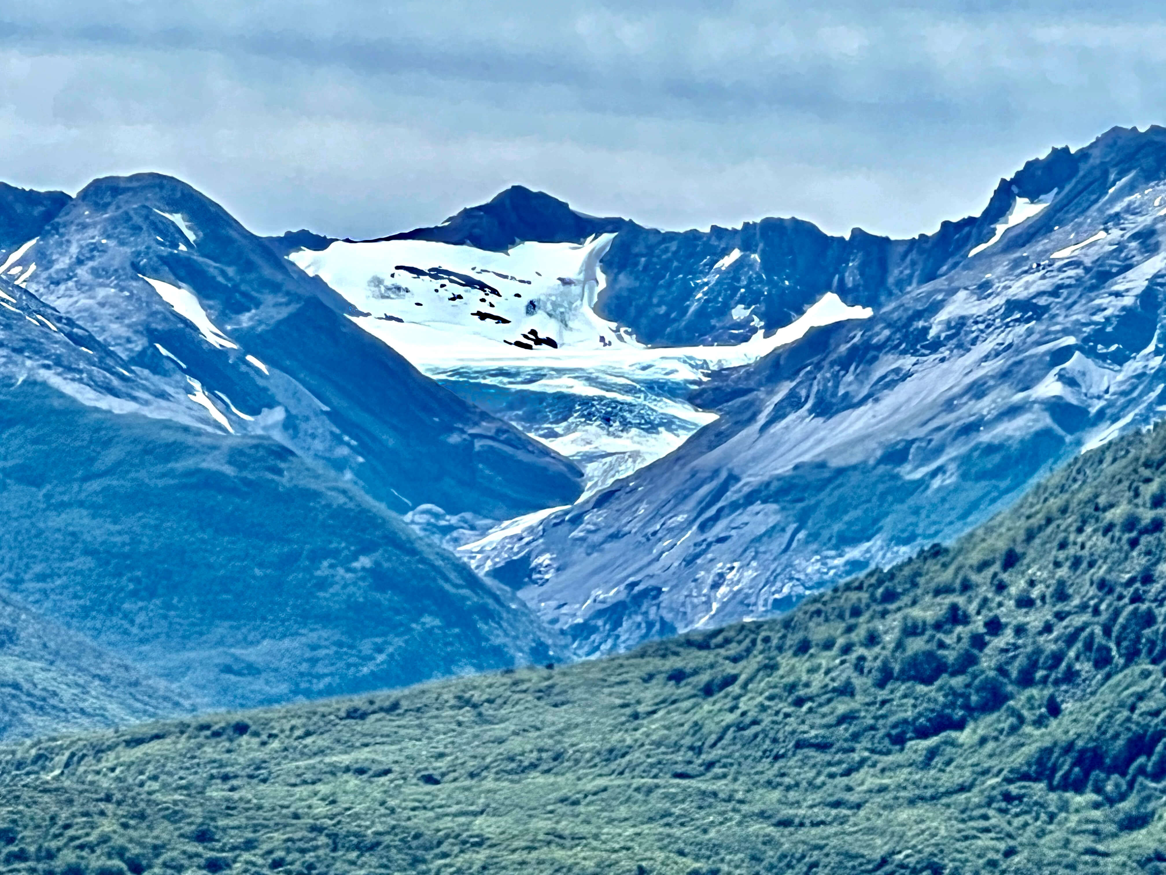 Vistas de los glaciares en el Parque Glaciar Mosco desde el borde del Lago O'Higgins