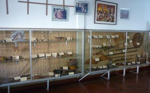 Cultural City Tour of Manaus: Heritage and Attractions