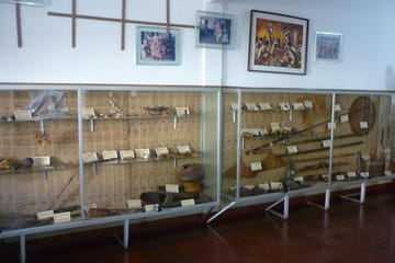 Cultural City Tour of Manaus: Heritage and Attractions