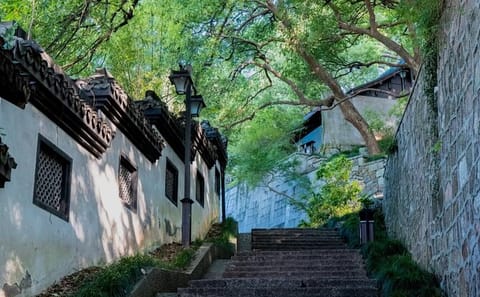 Mini-Hike and Local Market Experience in Hangzhou