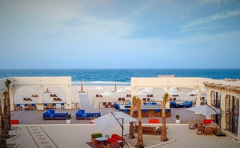 Full-Day Desert Adventure in Doha and Mesaieed, Qatar