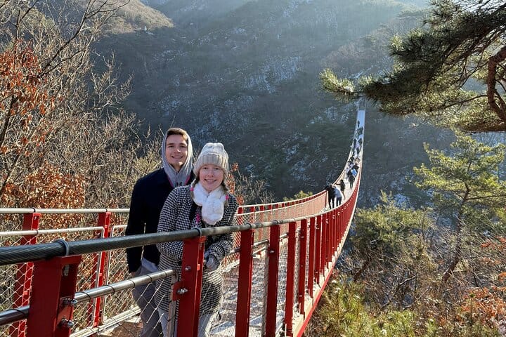 Korea DMZ Tour (North Korean Meet up&Suspension Bridge optional)