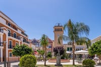 Argostoli : Heritage Walk, Turtle Spotting & Cooking Class 3