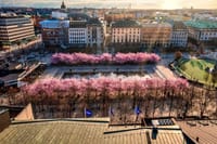 Stockholm: Guided Bike Tour 1