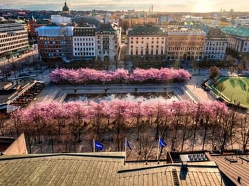 Guided Bike Tour of Stockholm's Neighborhoods and Waterfronts