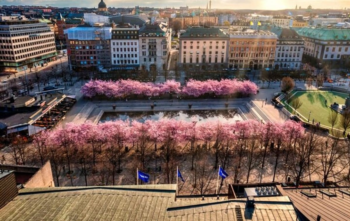 Stockholm: Guided Bike Tour