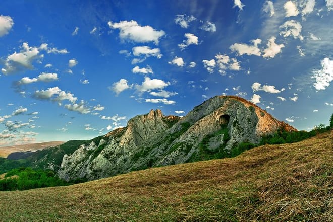 Wildflowers of Romania Day Hike from Cluj 8