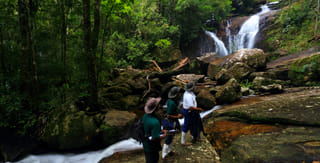 From Colombo: Sinharaja Trekking Day Tour