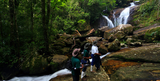 From Colombo: Sinharaja Trekking Day Tour