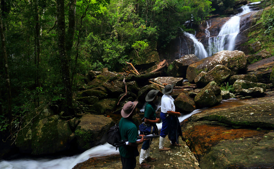 Sinharaja Rainforest Trekking Day Tour from Colombo