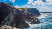 Marine wildlife cruise to Inishturk Island. Galway. Private guided.  2