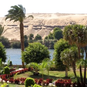 Private Sailboat from Aswan to Botanical Gardens