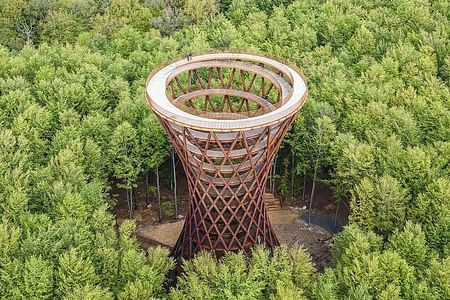 Explore the Forest Tower and Forgotten Giants near Copenhagen