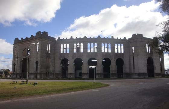 Colonia Day Trip & Optional Private Transfers from Buenos Aires