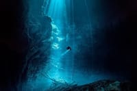 Scuba Diving in the Mystical Cenotes of Tulum 2