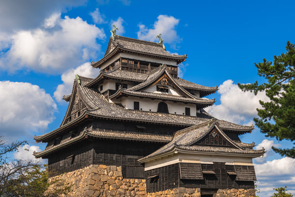 Matsue Custom Day Tour