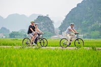 1 Day Luxury Ninh Binh Day Tour Hoa Lu Tam Coc and Mua Cave