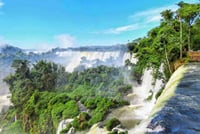 Iguazu Falls Private Tour Argentinean side with Navigation option 8