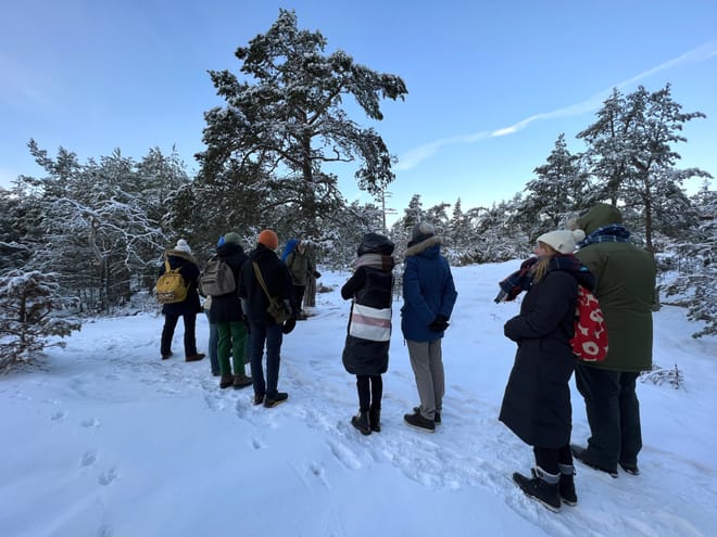 Winter Archipelago Excursion 6