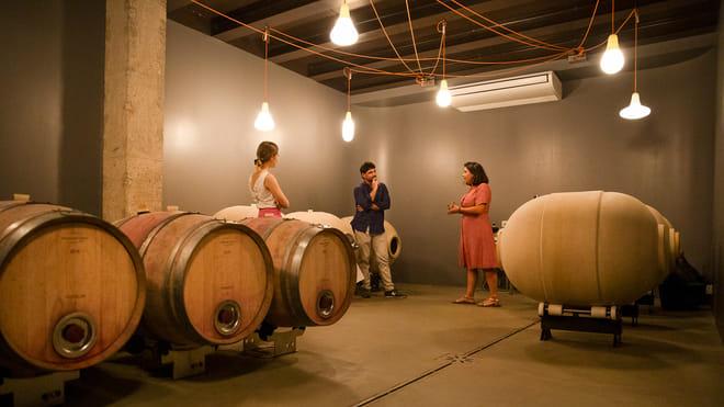 Bardolino Wine Experience photo 6