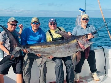Punta Cana Deep Sea Fishing Trip Big Game Adventure & Pick up