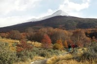 Tierra del Fuego National Park - USHUAIA (Shared tour) 4