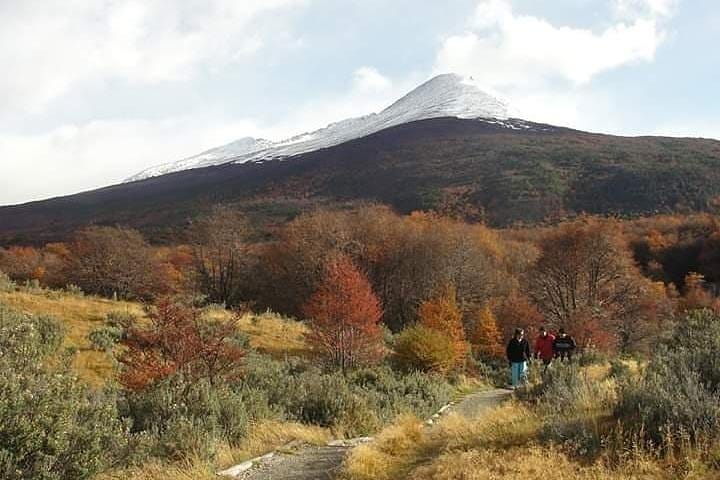 Tierra del Fuego National Park - USHUAIA (Shared tour) 4