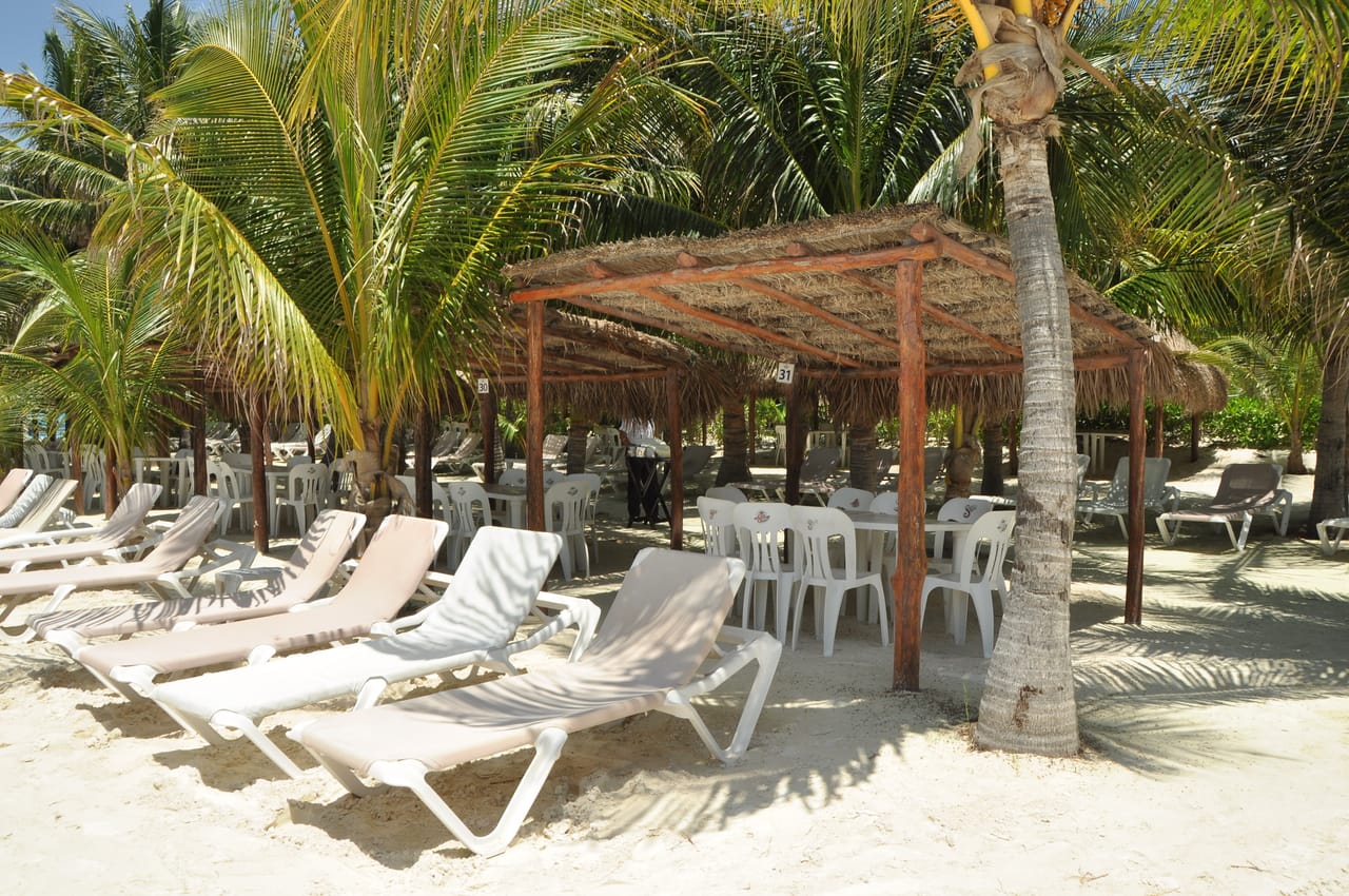 Playa del Carmen Maroma - Dolphin Royal Connection 8