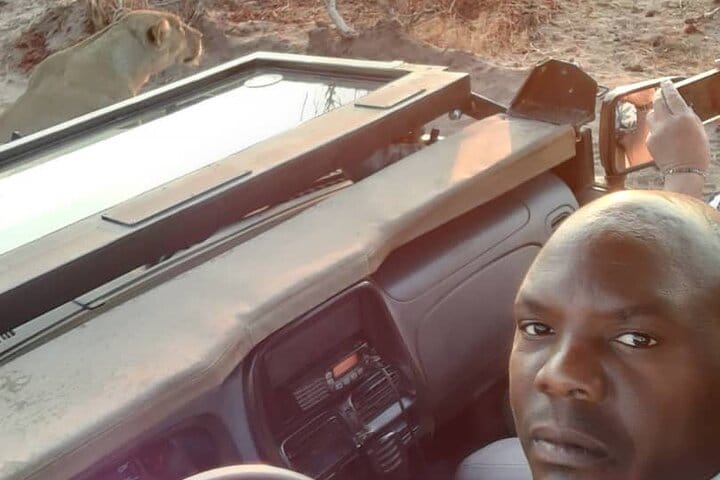 Full Day Chobe Safari - From Victoria Falls