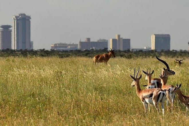 Nairobi National Park
