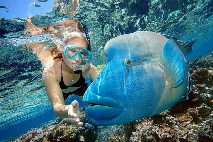 Diving and Snorkeling Day Trip By VIP Boat From Hurghada 4