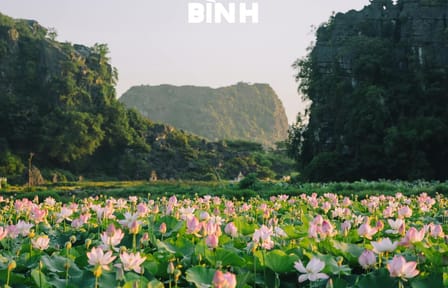 Private 9-Day Cultural Tour of Vietnam's Highlights