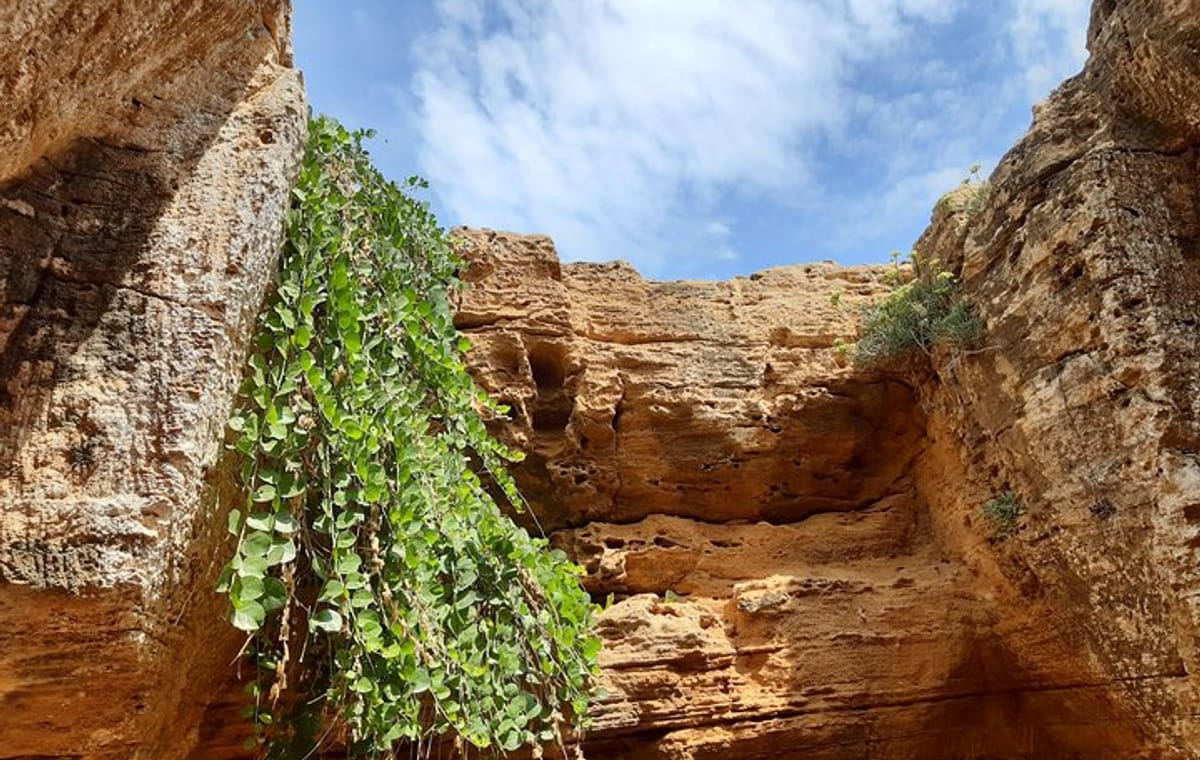 Daytrip to Kerkouen Unesco Site Kelibia and Houaria Caves