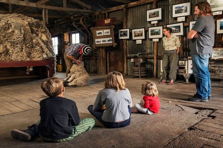Nibepo Aike Ranch Day and Horseback Riding from el Calafate