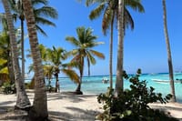 Saona Island and Chavon River Tour with Lunch and Drinks 3