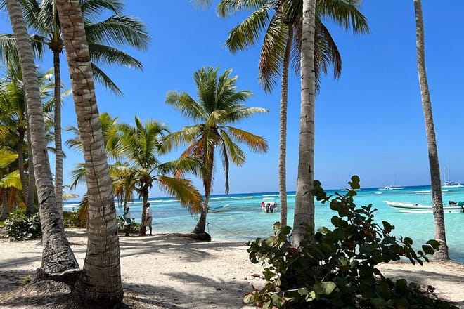 Saona Island and Chavon River Tour with Lunch and Drinks 3