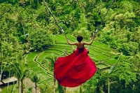 Ubud: Monkey Forest, Jungle Swing, Rice Terrace and Water Temple 1