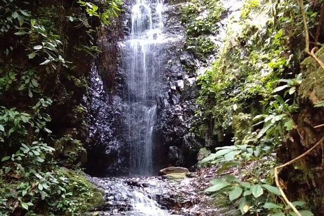 4D 3N Tour Kuala Lumpur - Cameron Highlands - Rainforest Taman Negara-Kuala Lumpur (P34)