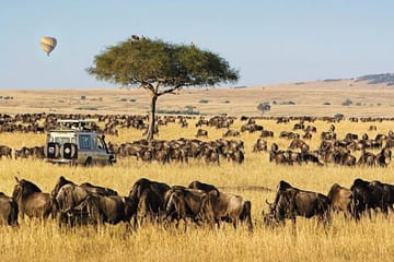 Private 3-Day Safari in Maasai Mara National Reserve, Kenya