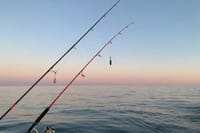Fishing Tour in Mirissa 3