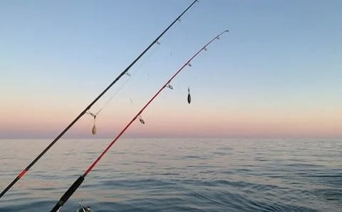 Fishing Experience in Mirissa, Sri Lanka's Indian Ocean