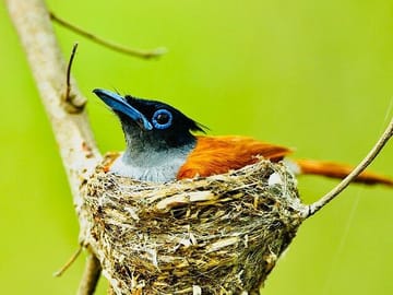 Best-of-Sri-Lanka-14-days-Private-Tour-3