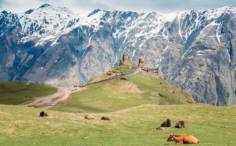 11-Day Cultural and Nature Tour of Georgia's Highlights