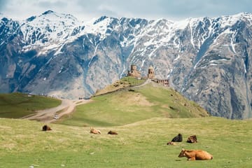 11-Day Cultural and Nature Tour of Georgia's Highlights