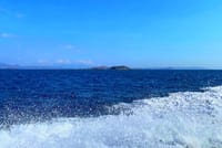 Bintang Komodo Tours