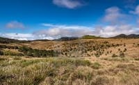 Day Trip to Horton Plains and Tea Estate in Nuwara Eliya  2