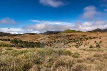 Horton Plains and Tea Estate Day Trip in Nuwara Eliya