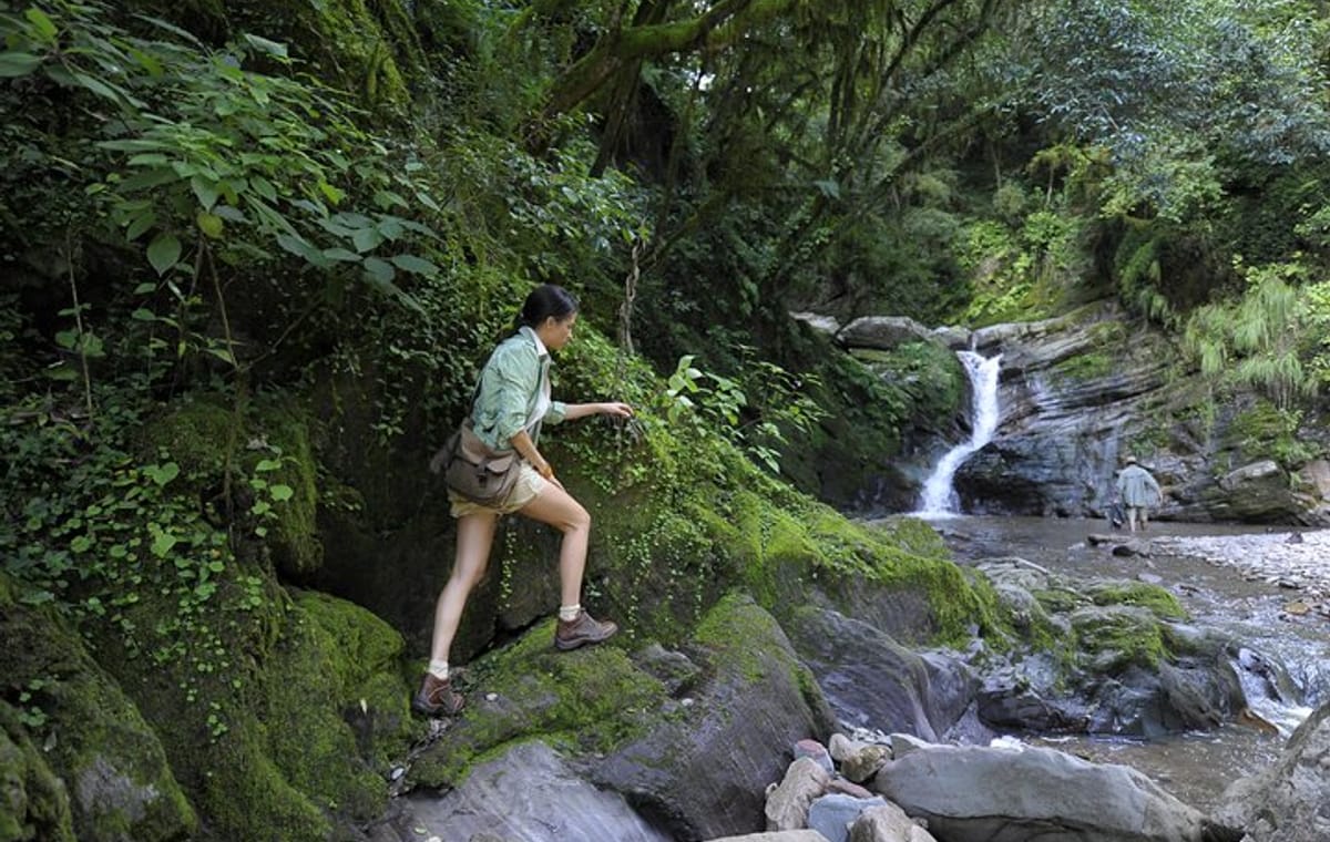 Yungas Half-Day Tour from Tucuman